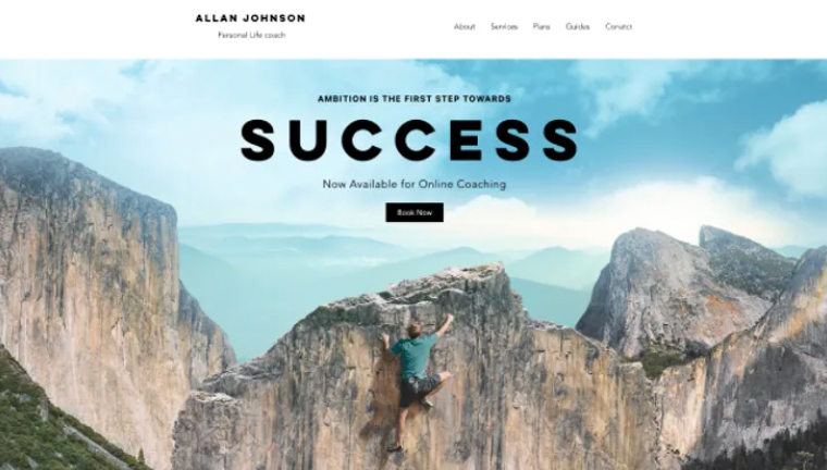 Professional coach site
