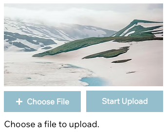 File upload form with progress feedback